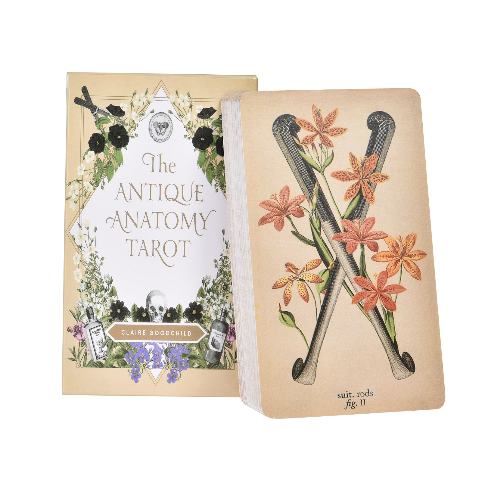As Cartas de Tarot de Anatomia - Tarot Deck With Guidebook avaliação e preço