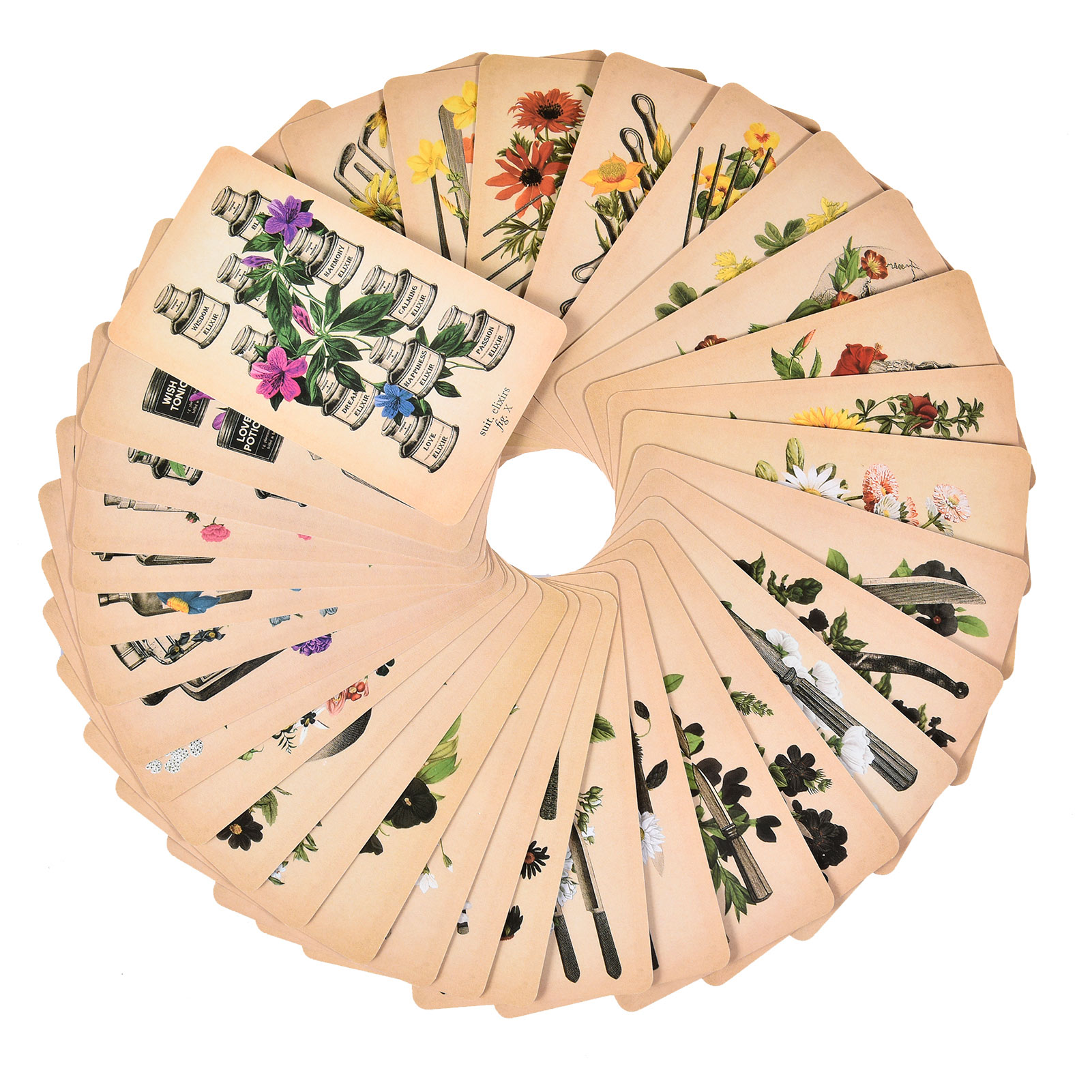 As Cartas de Tarot de Anatomia - Tarot Deck With Guidebook avaliação e preço