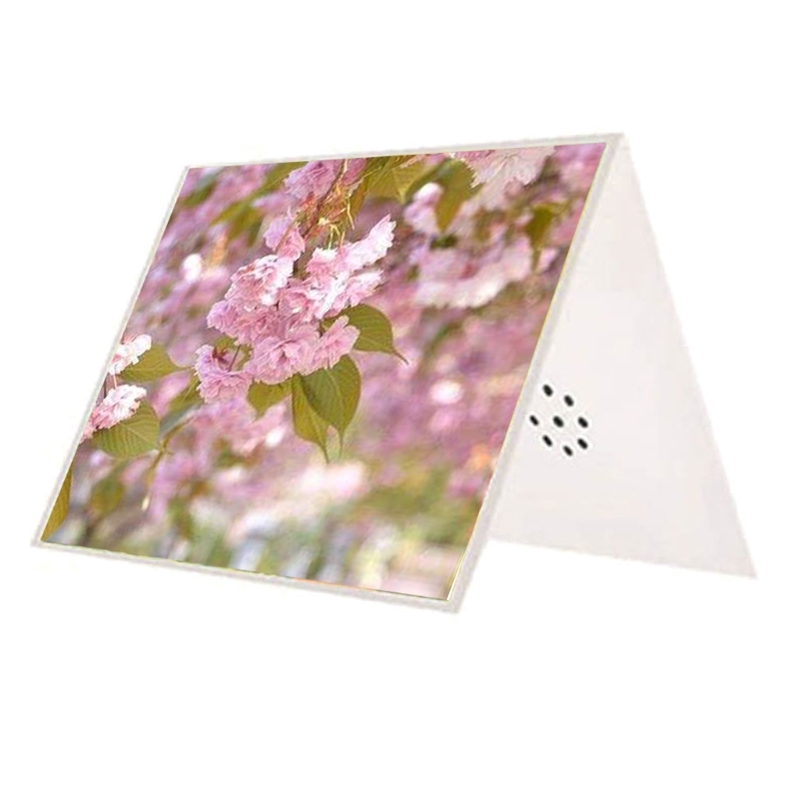 Cartão felicitações diy faland - Blank Sheet Music Notebook avaliação e preço